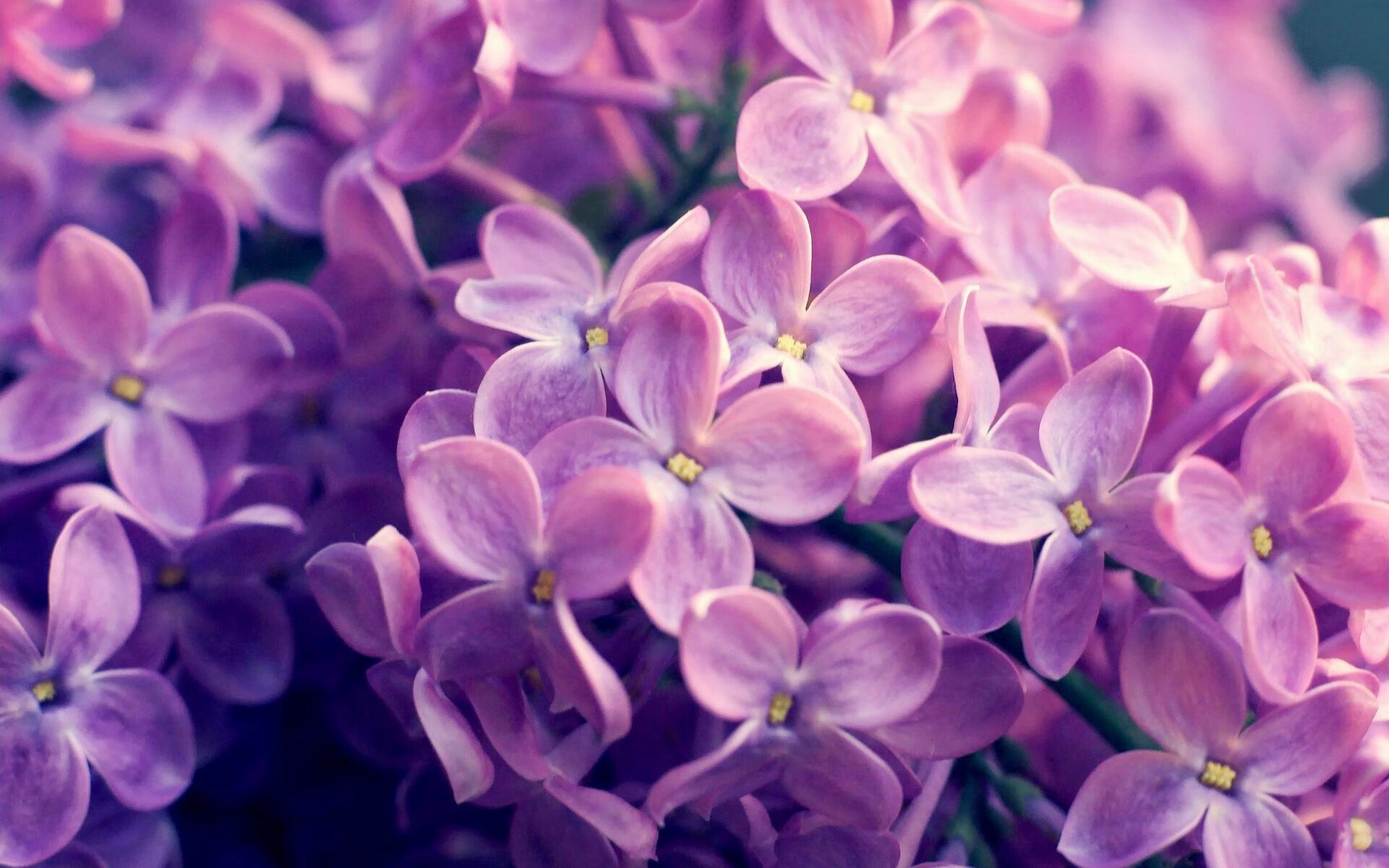 CBA球队赛季目标明确 集训热情高涨,新赛季cba联赛四个阶段